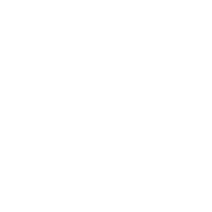 Rabits